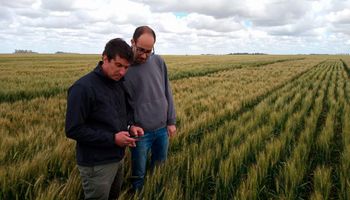 La compañía de trading agrícola más grande de la región eligió una plataforma argentina para verificar sustentabilidad en el campo