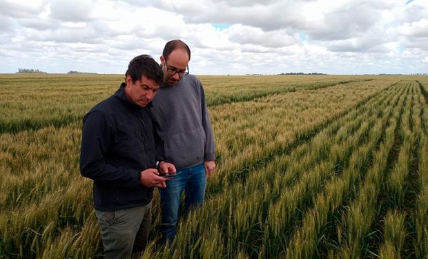 La compañía de trading agrícola más grande de la región eligió una plataforma argentina para verificar sustentabilidad en el campo