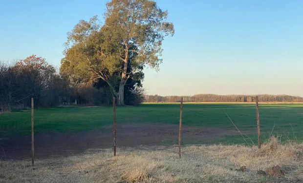 Salen nuevos campos a la venta y la actividad del mercado inmobiliario rural tocó un máximo de 10 años