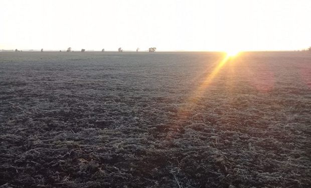 Las temperaturas bajas se instalan en la región y volverían las heladas