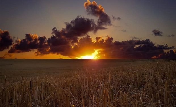 Pronóstico trimestral: cuál es la tendencia de lluvias y temperaturas en zona núcleo hasta enero