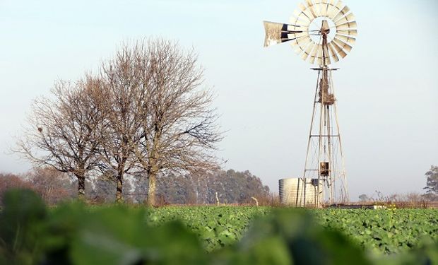 Tiempo estable para Navidad: cuándo llegarían las lluvias a la zona núcleo