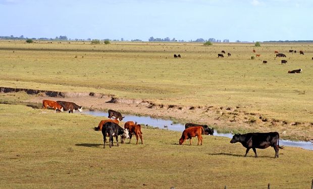 Beneficios del Revalúo Impositivo para el agro.