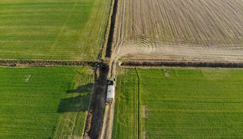 Sube el precio de la hectárea en Argentina: a cuánto se venden los campos más buscados