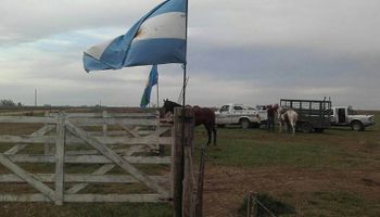 Buenos Aires: recuperan lote de producción ganadera que se explotaba de forma irregular
