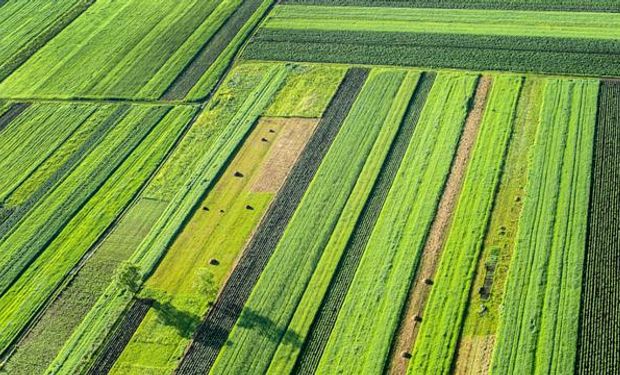 Agricultura: última contraofensiva para frenar a los ambientalistas.