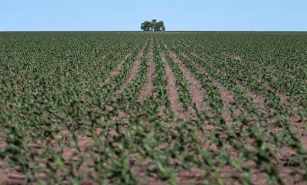 Polémica por un registro de la AFIP sobre tierras rurales productivas.