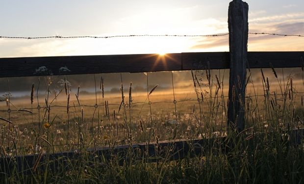 Organizaron el primer Meetup Agtech, un encuentro entre diferentes actores del ecosistema Agtech de la ciudad