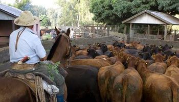 Simplifican trámites para establecimientos ganaderos que comercializan a la UE