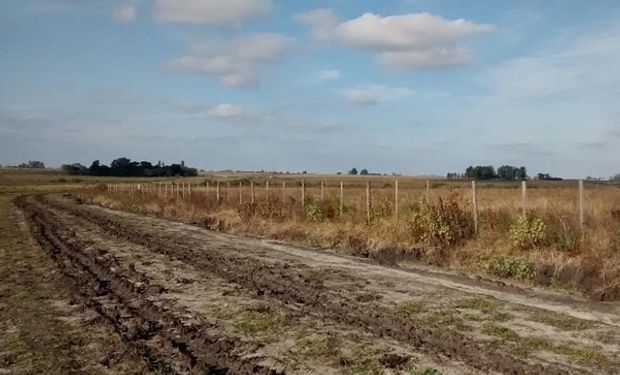 Ahora se espera una semana sin lluvias y con una importante amplitud térmica