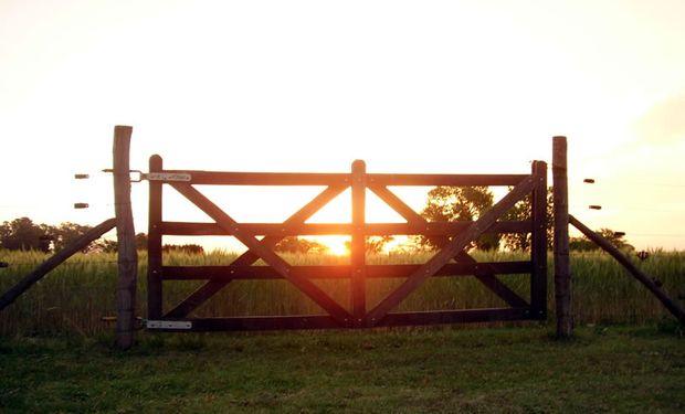 Venta de campos: volvió a caer la actividad del mercado inmobiliario rural