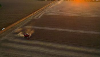 Se acerca un hecho histórico que impactará en el campo: Argentina, ¿entre los seis actores más importantes del mundo?