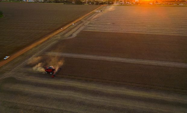 Se acerca un hecho histórico que impactará en el campo: Argentina, ¿entre los seis actores más importantes del mundo?