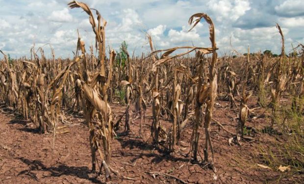 Septiembre fue el mes más cálido en años, alcanzando temperaturas récord en casi todo el mundo