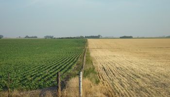 Agricultura Certificada: un camino hacia la mejora continua