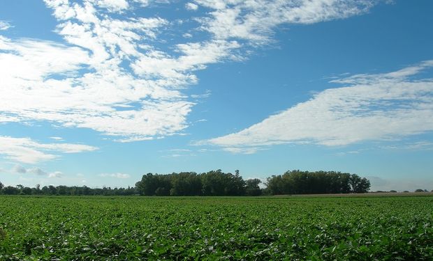 Lo que resta del verano se mantendría con menor oferta de agua de lo habitual: cuándo terminaría La Niña