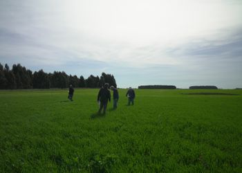 Inédito en Argentina: encontraron una nueva forma de controlar malezas resistentes y lo lanzan al mercado para trigo y cebada en una zona con grandes problemáticas