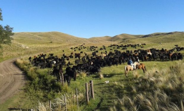 Piden la condonación de pagos para los campos afectados por las inundaciones.