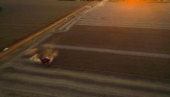 Crearon un nuevo insumo para el campo que ya está en 30.000 hectáreas: "Reemplazamos 100 kilos de urea por un litro, hasta para nosotros era difícil de creer"