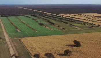 ¿Sube el precio de la hectárea en Argentina? Esto cuestan los campos más buscados