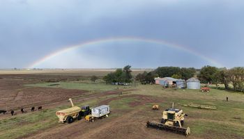 Qué cambiaría con el nuevo control sobre las semillas, con foco en el primer punto de entrega del grano