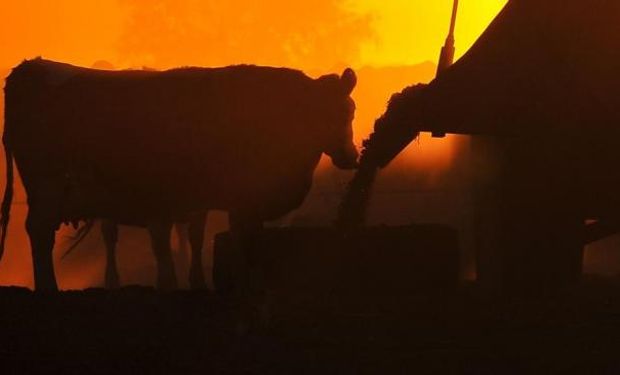 Condicionantes. El cepo cambiario y las intervenciones oficiales en los mercados agrícolas impactaron sobre el valor de los campos (Sergio Cejas/Archivo)