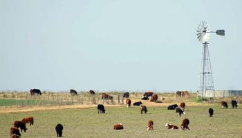 Productores entrerrianos reiteraron el pedido de declaración de la emergencia agropecuaria por sequía 