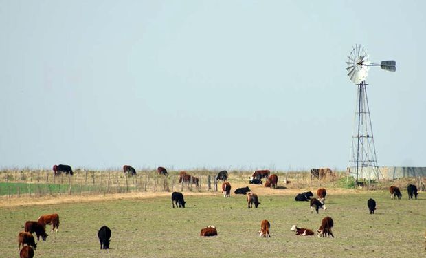 Productores entrerrianos reiteraron el pedido de declaración de la emergencia agropecuaria por sequía 