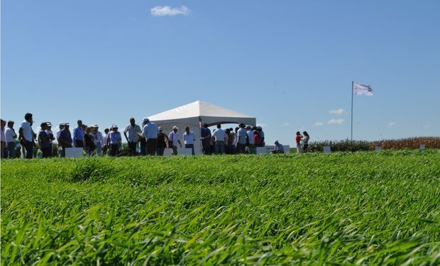 El lanzamiento de los productos se llevó a cabo en el Campo Experimental que tiene Rizobacter en las afueras de Pergamino.