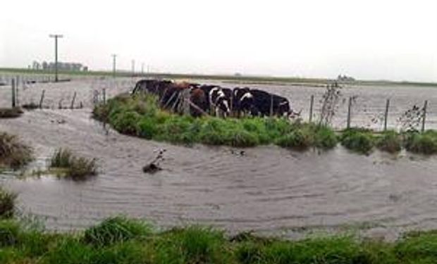 70% de los campos ganaderos de Ayacucho está bajo el agua