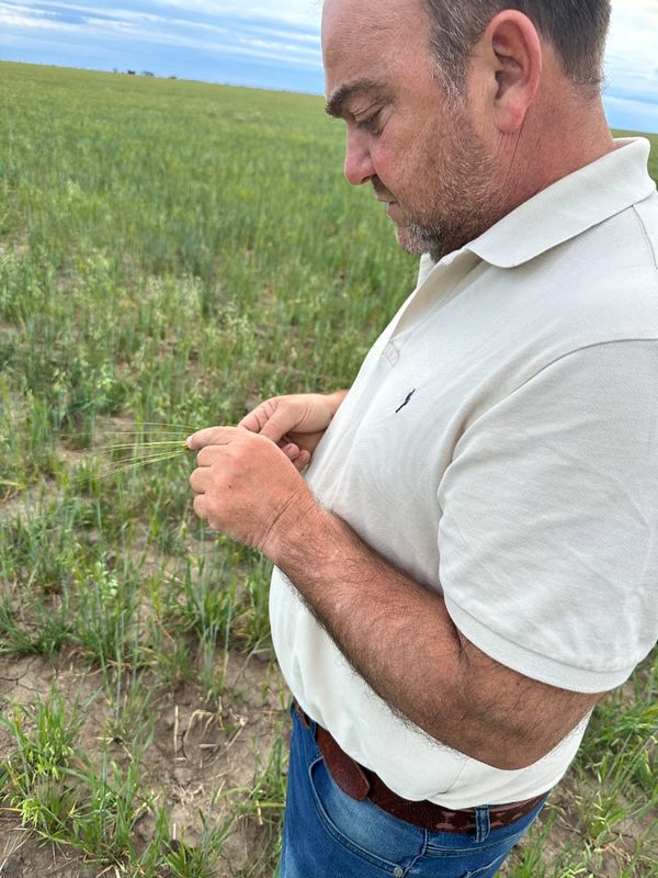 campo ganadero de botta campos