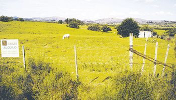 Se activa el mercado inmobiliario rural y esperan alza en precios