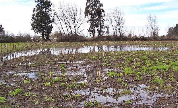 Los ascensos del nivel de la napa pueden generar efectos negativos porque limitan la infiltración del agua de lluvia.