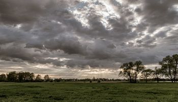 Las lluvias seguirán en la zona núcleo, mientras que parte de Santa Fe y Buenos Aires necesitan agua