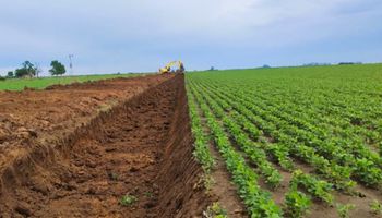 La obra de 2500 millones en el campo santafesino que busca impactar a miles de hectáreas productivas