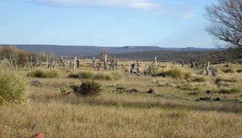 Restituyen un campo usurpado por una comunidad mapuche tras analizar la ley de tierras indígenas