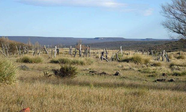 Restituyen un campo usurpado por una comunidad mapuche tras analizar la ley de tierras indígenas