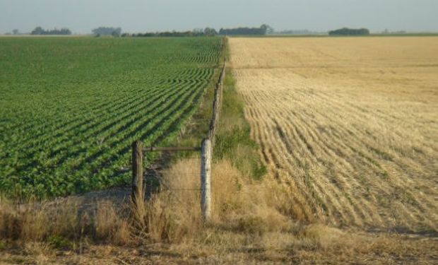 “La crisis del campo es de todos”.