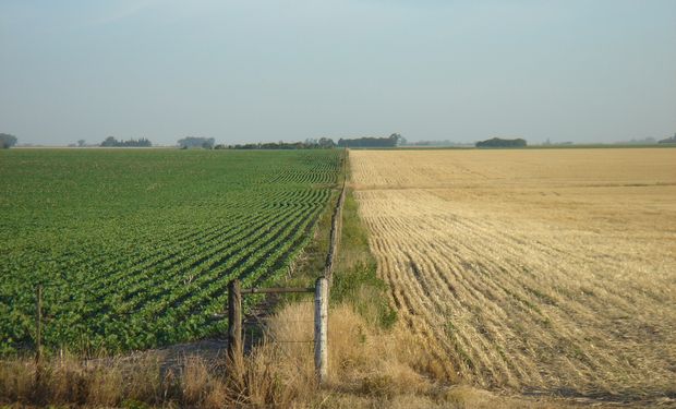 El agro ya no resiste el impacto de las retenciones