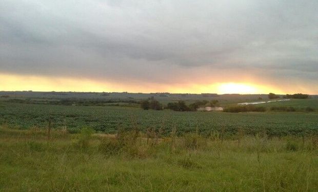 Crece el interés por invertir en campos uruguayos