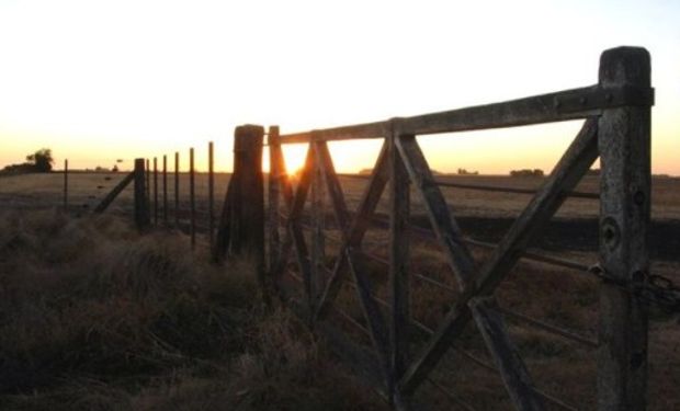 La venta de campos, de pymes y la construcción, ganan con el revalúo.