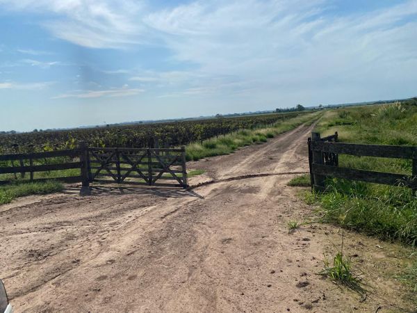 campo victoria capomassi