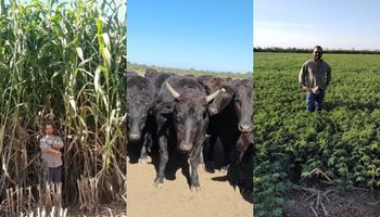 Transformó un campo "descartado" en un modelo de 7000 hectáreas con carne Wagyu de exportación y riego subterraneo: las claves del éxito