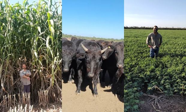 Transformó un campo "descartado" en un modelo de 7000 hectáreas con carne Wagyu de exportación y riego subterraneo: las claves del éxito