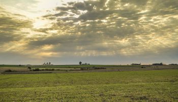 Confirman que el clima se mantendrá en fase neutral
