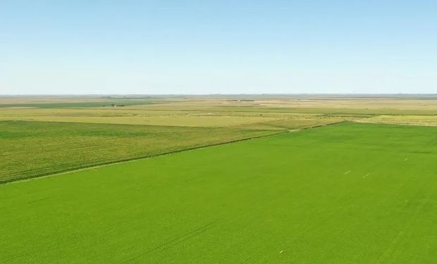 Compra y venta de campos: los motivos que impidieron una mayor actividad en el mercado inmobiliario