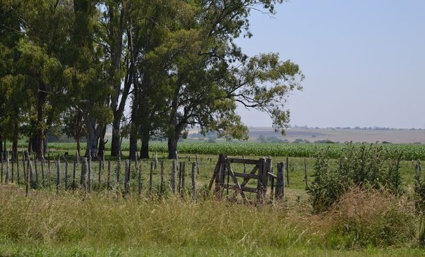 Más allá de la práctica en sí, los productores valoran la forma de intercambio que han logrado y mantienen.