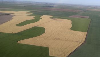Los campos ya no tienen que ser cuadrados