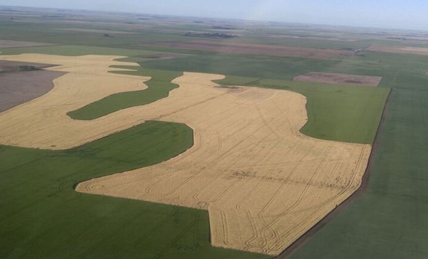 La agricultura por ambiente tiene un impacto positivo tanto en términos económicos como ambientales.