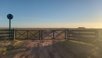 Los campos ganaderos vuelven a captar la atención del mercado: a cuánto se venden y por qué subieron hasta un 20% en un año
